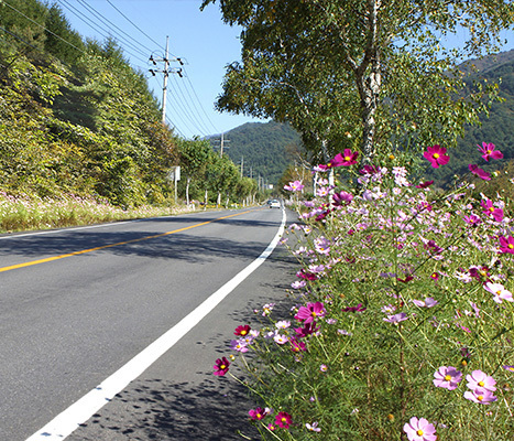 이미지명